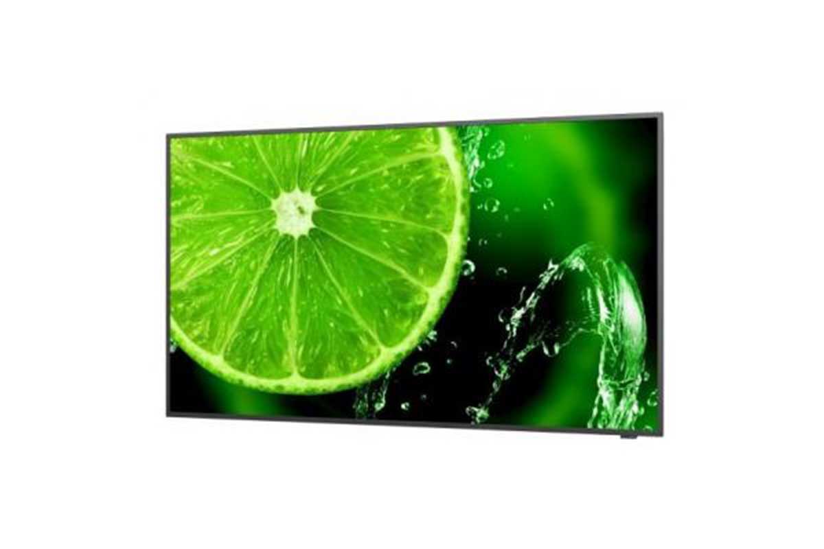 NEC Multisync E Series