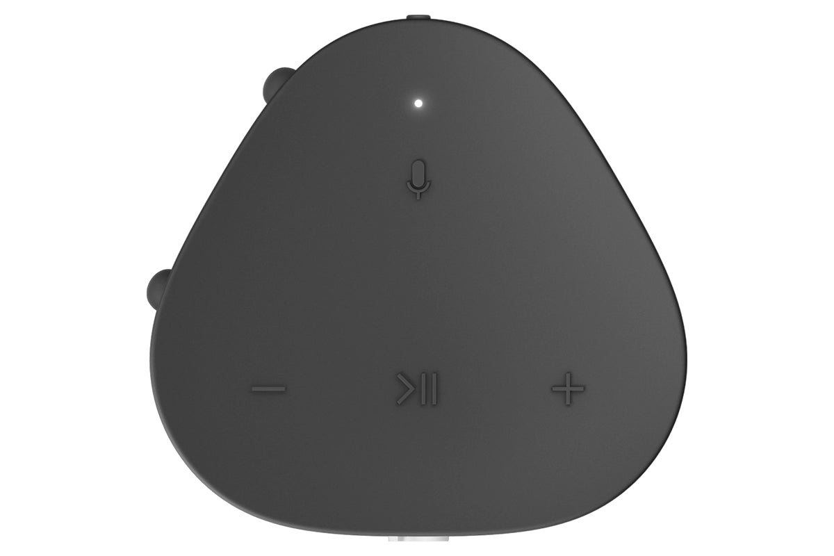 Sonos Roam